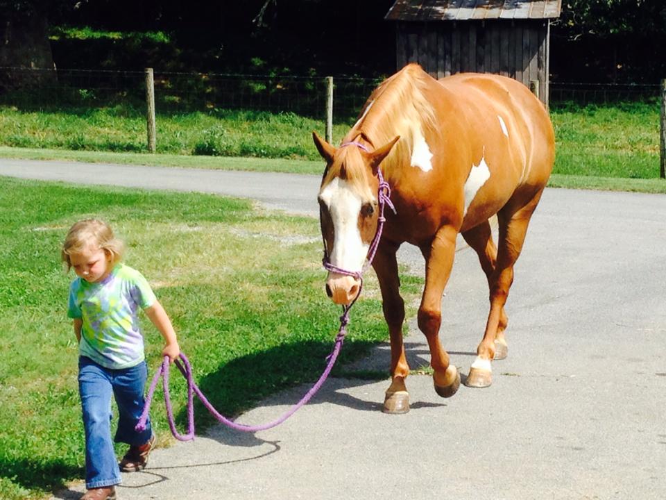 The Submission Phase of the 2016 Farm Credit of the Virginias' Calendar